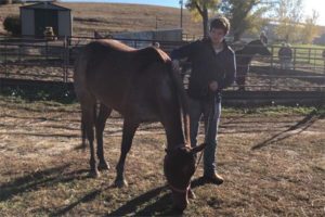 Equine Therapy for Addiction Treatment Montana