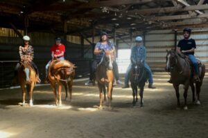 equine therapy group